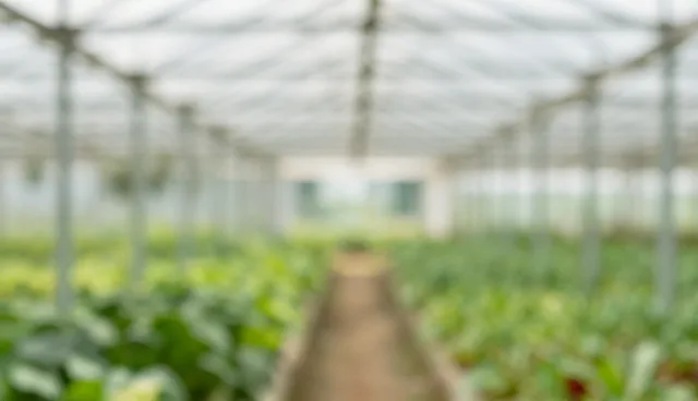 技术外包如何应对复杂场景下的技术难点
