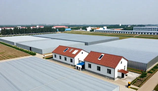 技术外包如何提升成果转化效率与适用性